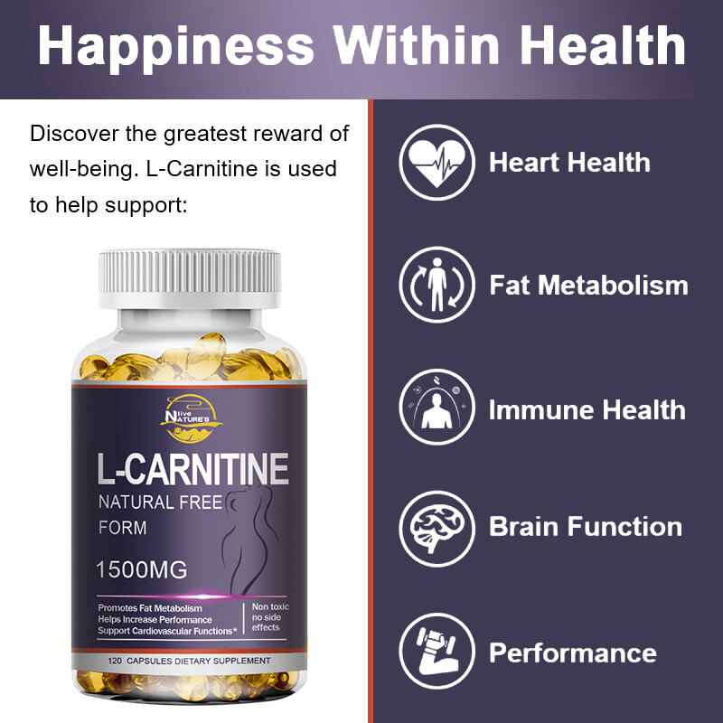l carnitine reduce belly fat l carnitine reduce belly fat Morning or Evening? Best Time to Take L- Carnitine