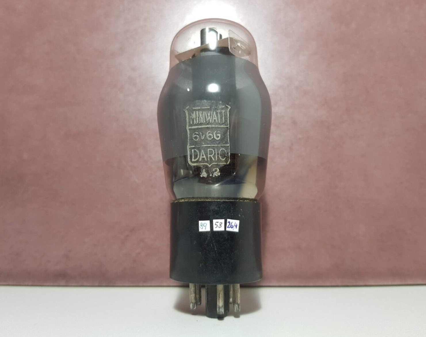 Tube 6V6G Mazda vintage avec plaques grises et plaqueurs en croix pour amplificateur