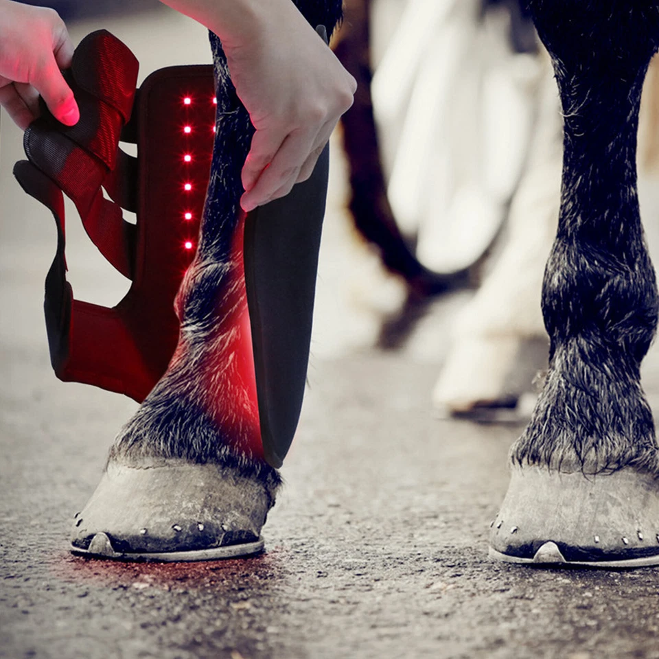 Red Light LED Therapy Leg Wrap for Horses New - Image 4 of 4