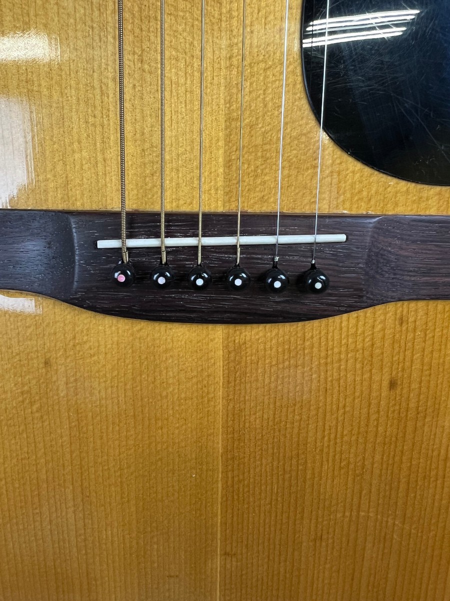 Aria & Co Model F-100 Vintage Japanese Acoustic Guitar MIJ | eBay