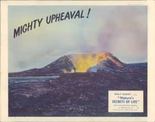NATURE'S SECRETS OF LIFE WALT DISNEY ARTWORK VOLCANO RARE ORIGINAL LOBBY CARD