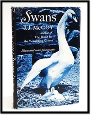 J J McCoy / Swans / 1st 1967 Habitats Migration Patterns Nesting Diet Illust