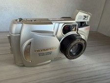 Olympus Camedia D-450 Zoom Digital Camera 1.3 MP TESTED Good Condition