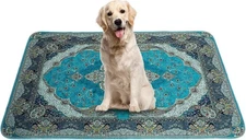 2 Pack Washable Pee Pads for Dogs 36x36Inch, Waterproof Puppy Pads with Fast ...