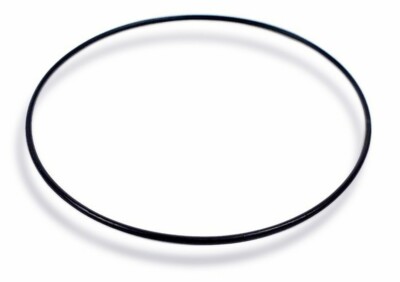 Uhren Dichtungsring O-Ring schwarz Casio 10117236 24473