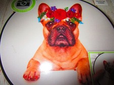 FLORAL FRENCHIE 6" Round Hoop Embroidery Kit #HL49498E (2023, Bucilla)