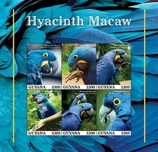 [ BB 20665-05 ] 2023 - GUYANA - HYACINTH MACAW               6V    MNH **