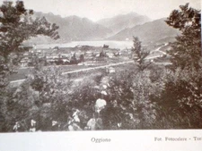 Oggiono + Spinone dei Castelli