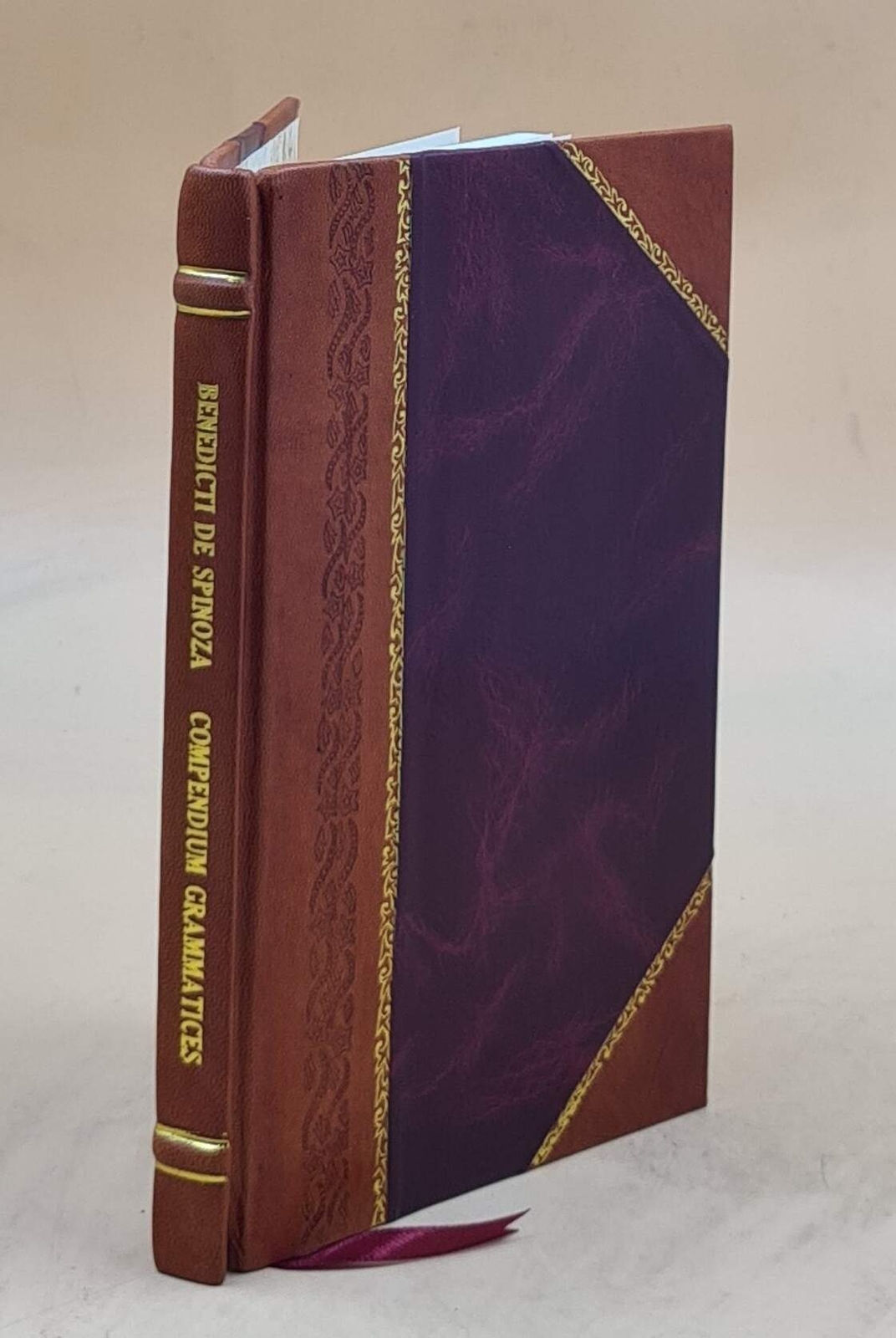 Benedict de Spinoza Hebrew Grammar Compendium Leather Bound Edition