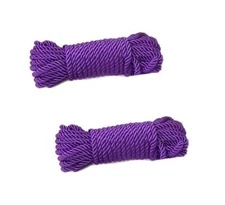 Christmas Decoration Nylon Braided, Multi-Purpose Rope Purple 100 ft - 2 Pack