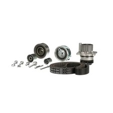 Kit de distribution Seat EXEO