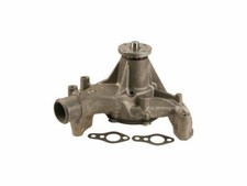 Water Pump For 1978-1981 Buick Century 1979 1980 S493FD Gold (Professional)