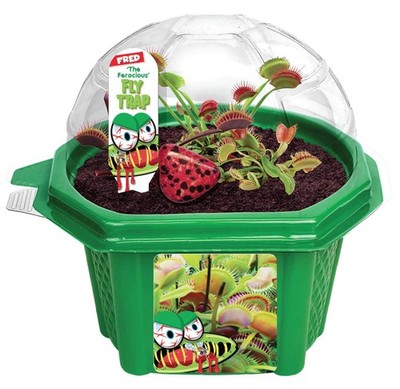 Toys By Nature Character Micro Domes Fred The Ferocious Flytrap Terrarium wit...