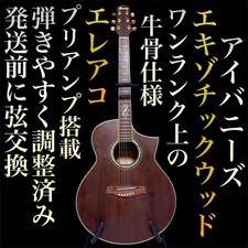 Chitarra elettrica acustica Beef Bone Ibanez legno esotico facile da suonare e regolare st
