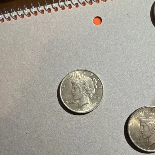 1924 Peace Dollar $1 Silver Coin Circulated Business Strike 0.9 Fineness