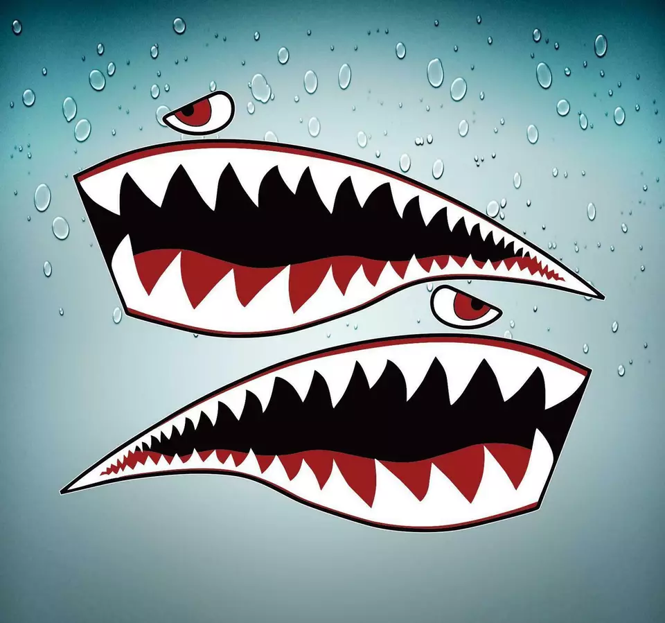 Autocollant sticker voiture moto tuning dent requin avion flying shark XL tiger