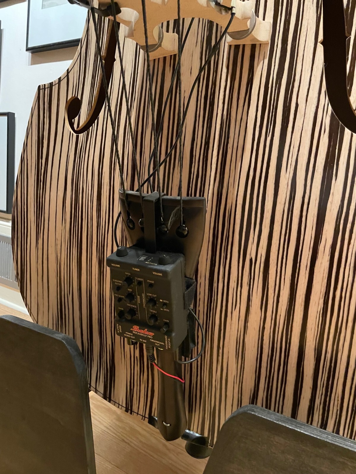 Strunal Upright Bass eBay