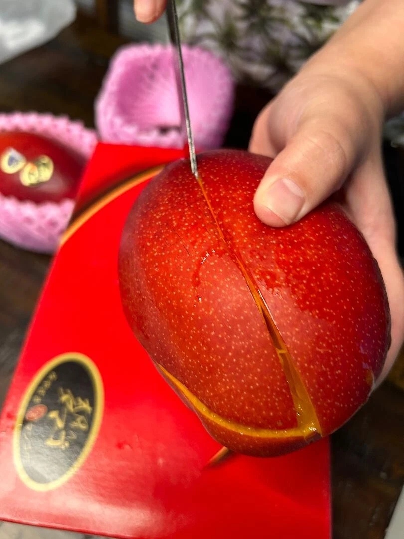 Japanese Egg of Sun, Miyazaki Mango 1 seed Rare Variety Limited, imported/Japan