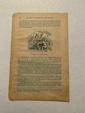 KP212) Roman Empire Conquering England Emperor Caesar 1871 Engraving