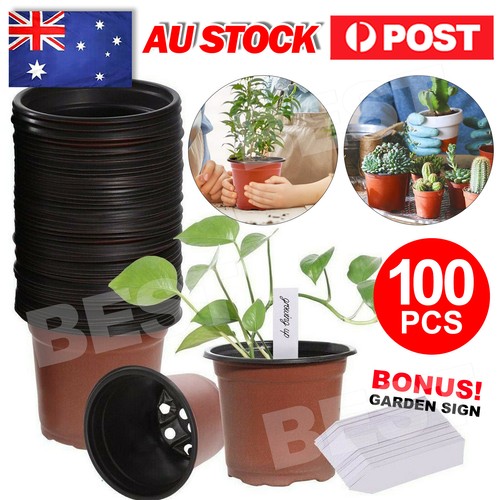100x Plastic Plant Flower Garden Pots Nursery Seedlings Pot Growing ...