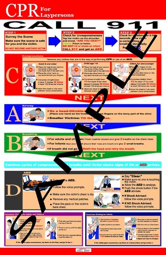 Layrescuer CPR Reference Posters - Latest Guidelines! - Afbeelding 1 van 2