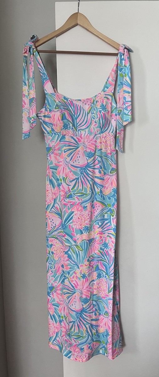 lilly pulitzer maleka maxi dress Berkely Maxi Dress