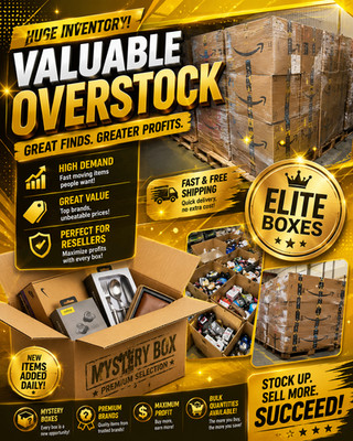 Best Buy Electronics Fortune Box   Overstock Warehouse Collection