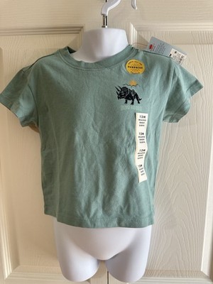 NWT Baby Boys size 12 mo Cat & Jack DINO RODEO Dinosaur T-Shirt ~Twins Siblings