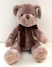 123Flowers Brown Teddy Bear Sebastian Approx 25 cm Seated Excellent Condition