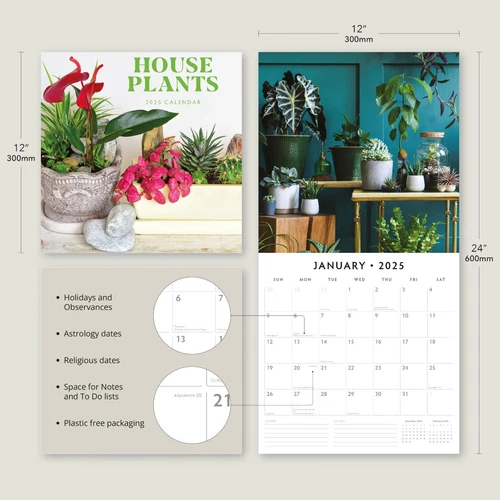 House Plants 2025 Square Wall Calendar