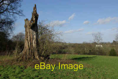Foto 6x4 Reste einer Baumspithurst Eines der wenigen Merkmale in diesem Squ c2007