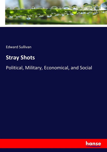 Edward Sullivan | Stray Shots | Taschenbuch | Englisch (2017) | 332 S.-image
