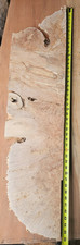 Maple Wood Burl Live Edge Board Slab
