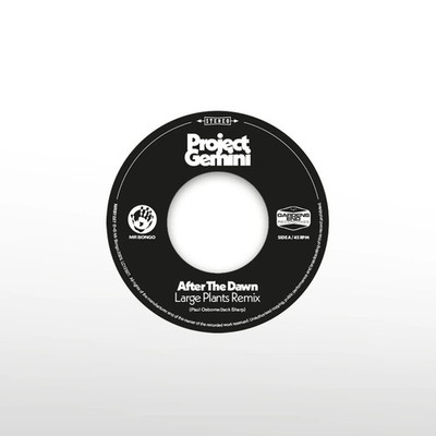 Project Gemini After the Dawn (Large Plants Remix)/Darkness Rising (Vinyl)