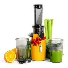 Ventray Ginnie Mini Cold Press Juicer, Small Slow Masticating Juicer for Vegetab