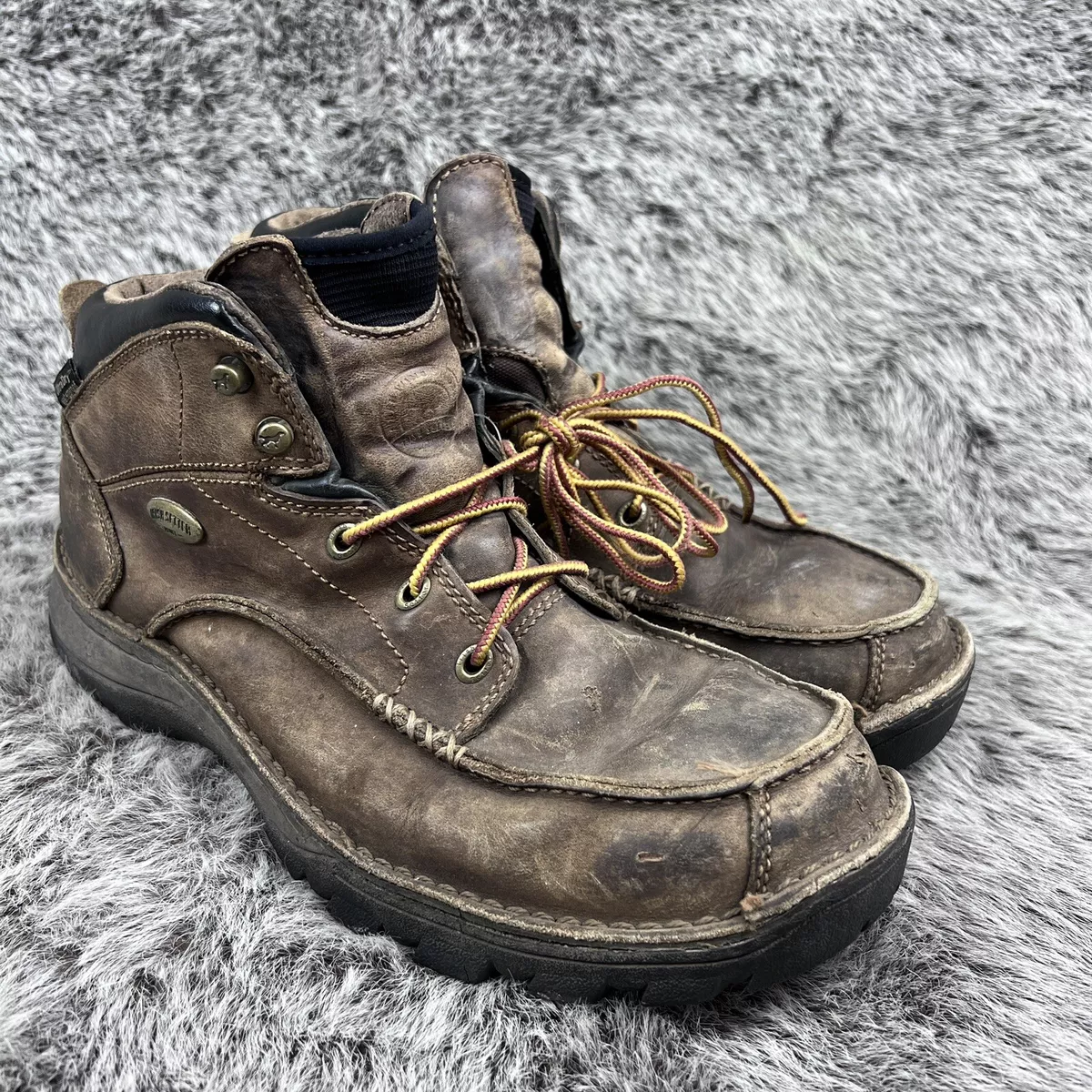 Irish setter best sale 3866