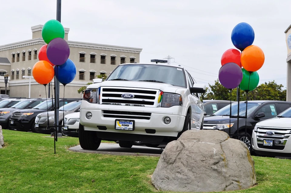 气球簇套件 | 无氦气,可重复使用,包括 5 个气球、杆、钉 — 第 2/4 张图片