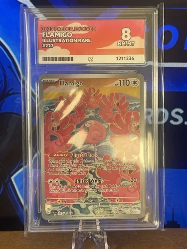 Pokemon Flamingo Illustration Rare Card SV Paldea Evolved Ace 8