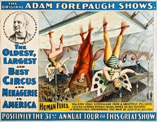 Human Flies Act Circus  Poster Print  17 x 11  Giclee Print
