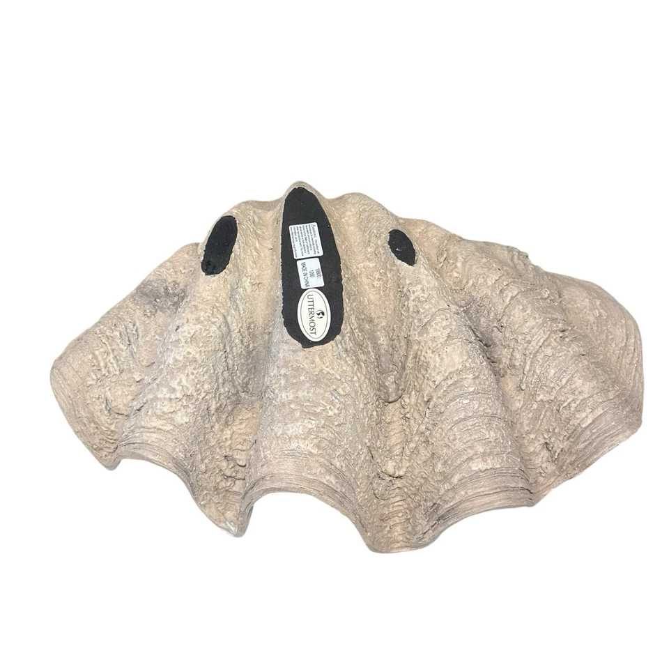 Uttermost Clam Coastal Polyresin Shell Bowl Antique White Brown Gray 16800 NEW - Image 4 of 4