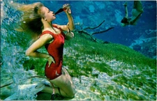 Spring Hill Florida FL : RISQUE - WEEKI WACHEE TOURIST ATTRACTION n/24 BI1416