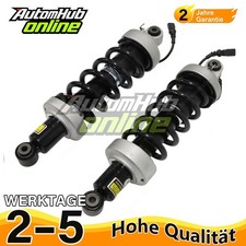 Paar Stoßdämpfer Hinten Vorne Für Audi R8 R8 Spyder 422 423 427 429 42051202