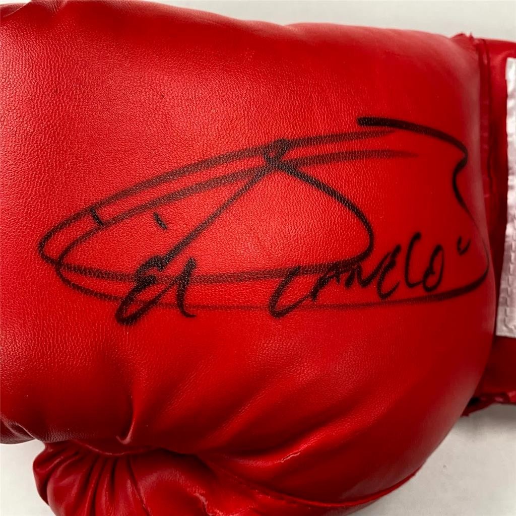 Saul Canelo Alvarez signed Custom Hand Painted Everlast Boxing Glove auto ~ PSA view 2