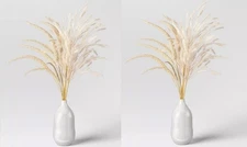 Threshold Set of 2 Wheat & Foxtail Luxe Pink Pampas Arrangement & Ceramic Vase