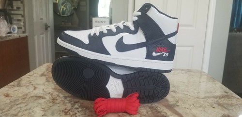 sb zoom dunk high pro