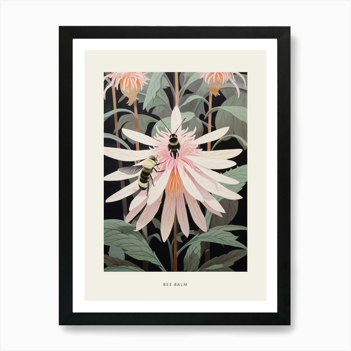 Flower Illustration Bee Balm 4 Post Framed Wall Art Poster Canvas Print Picture