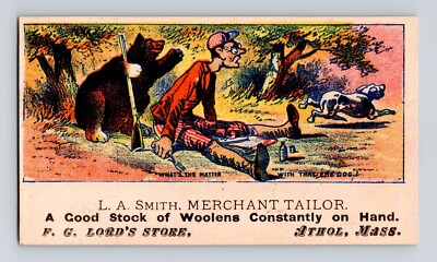 LA Smith Tailor Humor Hunting Scene Bear with Gun Athol MA Victorian Trade Card