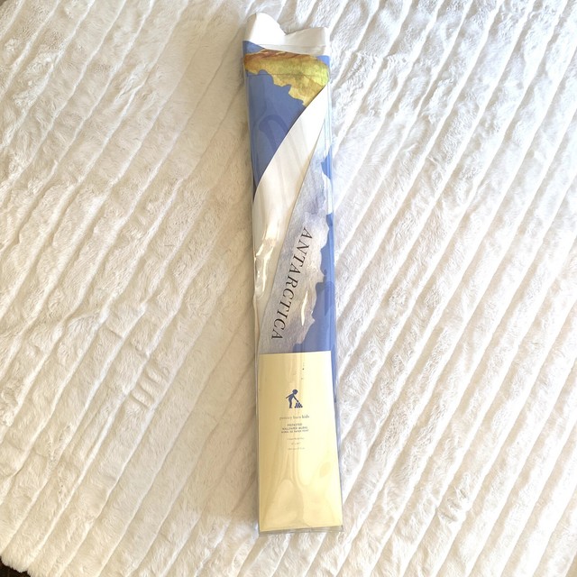 Pottery Barn Vintage Looking West Indies Map Wallpaper Decal For