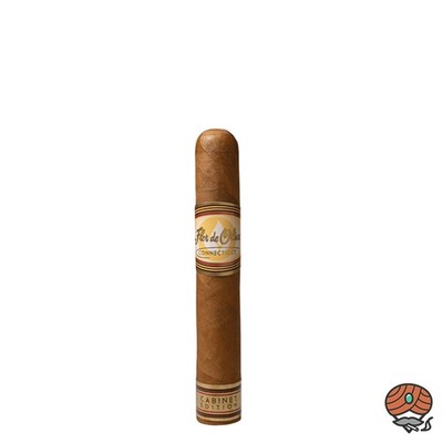 Flor de Oliva Connecticut Robusto Zigarren Nicaragua