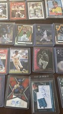 Devil Rays 50 Card Lot. Please Help I Am An Independent Cat Rescue. All MINT
